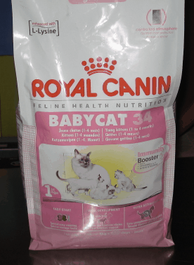 Cómo se debe cuidar a un gato Cómo se debe cuidar a un gato