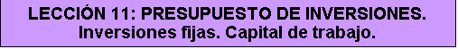 Cuadro de texto: LECCIÓN 11: PRESUPUESTO DE INVERSIONES. Inversiones fijas. Capital de trabajo.