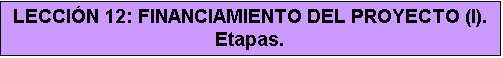 Cuadro de texto: LECCIÓN 12: FINANCIAMIENTO DEL PROYECTO (I). Etapas.
