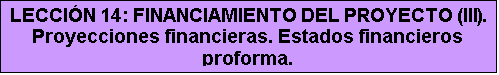 Cuadro de texto: LECCIÓN 14: FINANCIAMIENTO DEL PROYECTO (III). Proyecciones financieras. Estados financieros proforma.