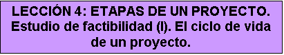 Cuadro de texto: LECCI&Oacute;N 4: ETAPAS DE UN PROYECTO. Estudio de factibilidad (I). El ciclo de vida de un proyecto.