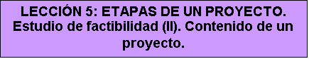 Cuadro de texto: LECCIÓN 5: ETAPAS DE UN PROYECTO. Estudio de factibilidad (II). Contenido de un proyecto.