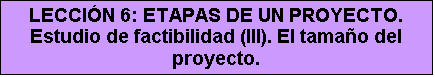 Cuadro de texto: LECCI&Oacute;N 6: ETAPAS DE UN PROYECTO. Estudio de factibilidad (III). El tama&ntilde;o del proyecto.