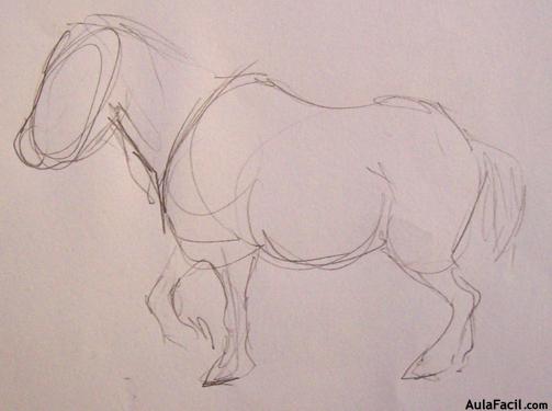 Dibujar caballos118