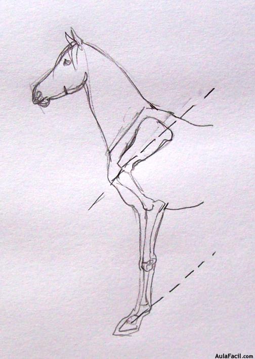 Dibujar caballos14
