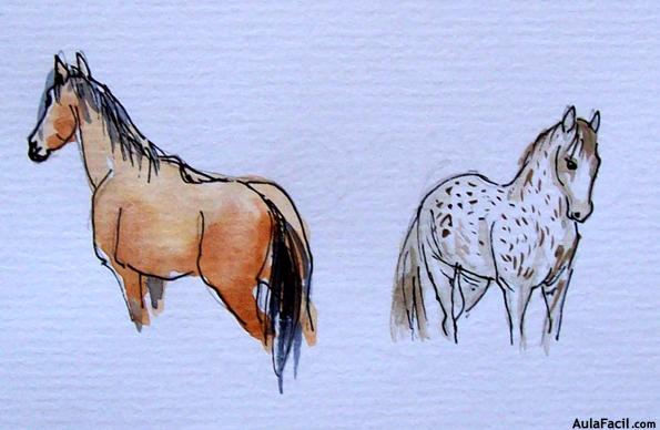 Dibujar caballos22