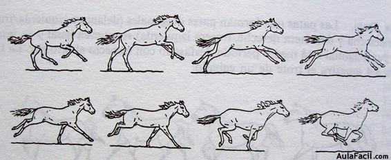 Dibujar caballos30