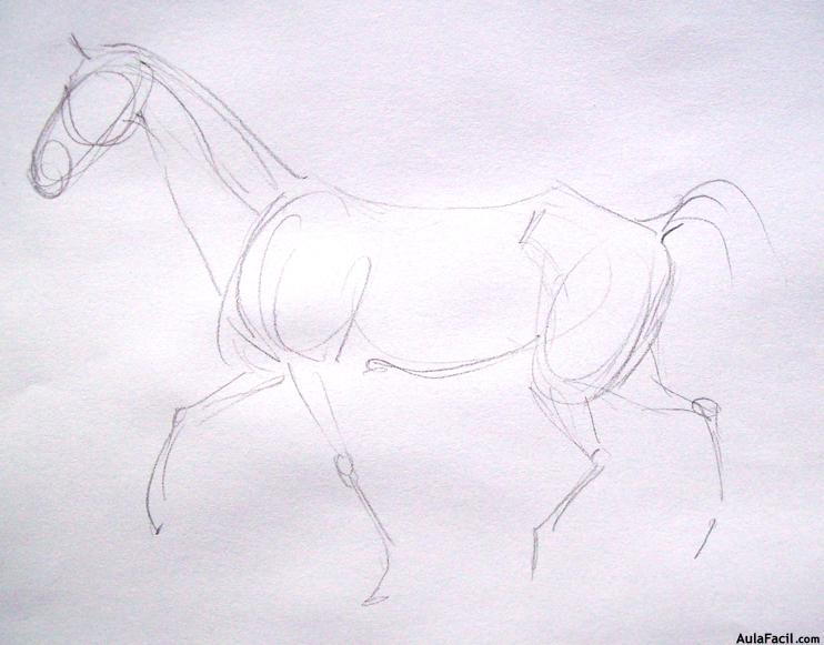 Dibujar caballos63