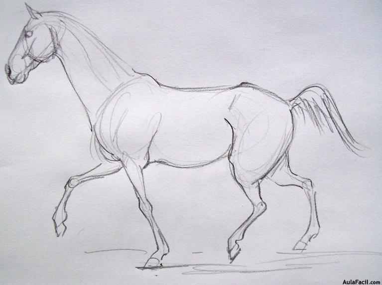 Dibujar caballos70