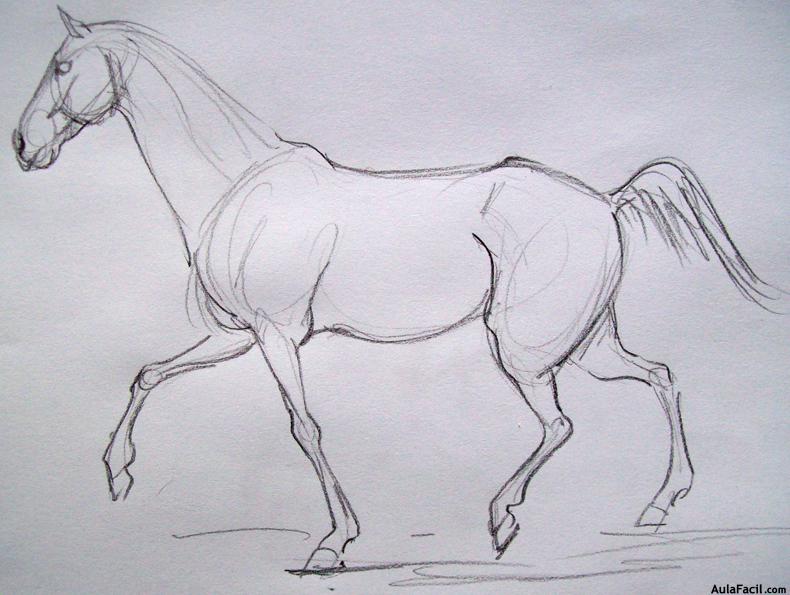 Dibujar caballos71
