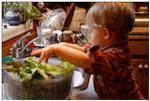The young boy is preparing a salad