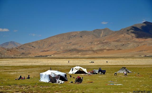 tibet acampada