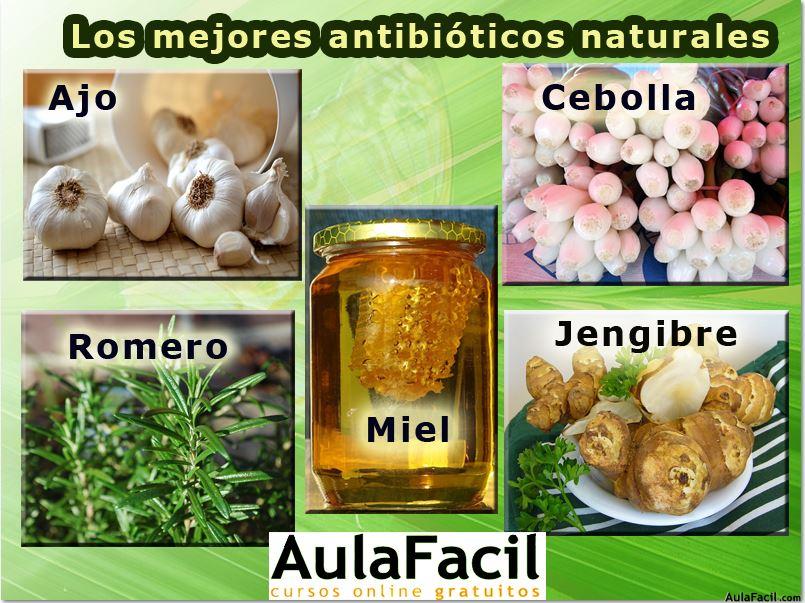 Antibióticos naturales. Aulafacil.com