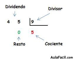 terminos de la división