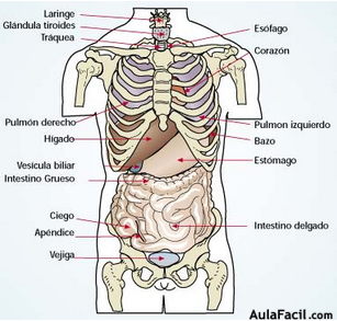 lenguaje001