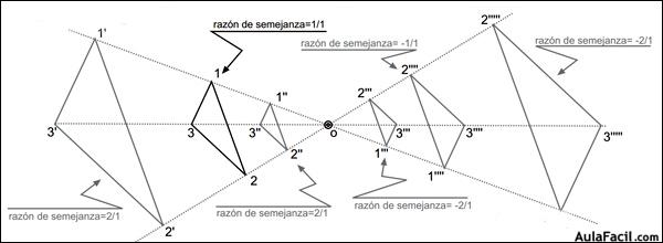 homotecia