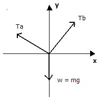 Diagramas de Cuerpo Libre I