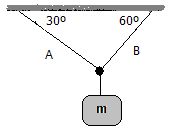 Diagramas de Cuerpo Libre I