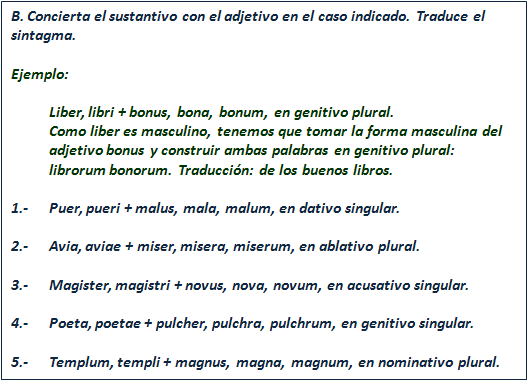 ?▷【 Adjetivos de 1° Clase - Ejercicios de Latín 】