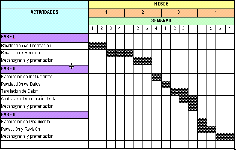 Carta O Diagrama De Gantt  Opening q
