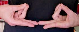 mudra de la vida