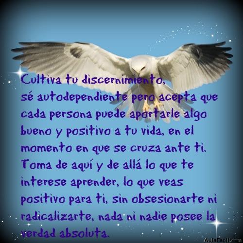 discenimiento