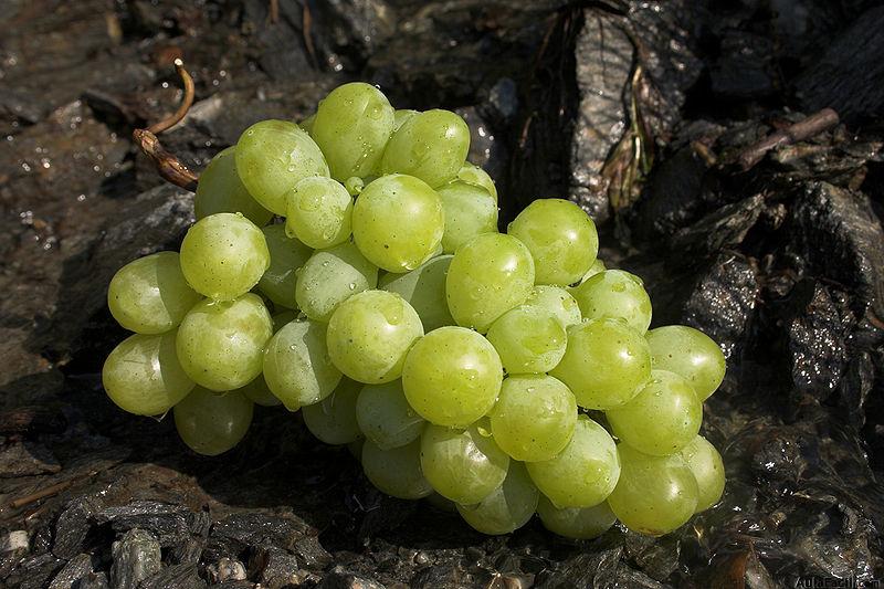 uvas fin de año