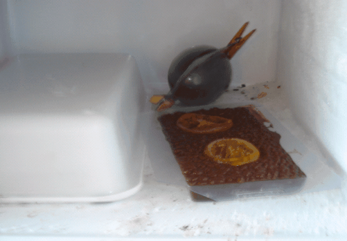 colocar en el congelador