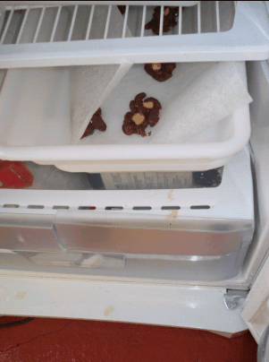 colocar en el congelador