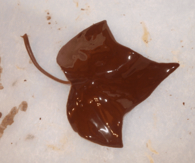 hoja bañada con chocolate