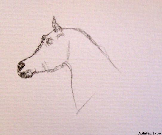 🥇▷【 Dibujar Caballos - Caballo árabe de perfil - Dibujo de Caballos 】