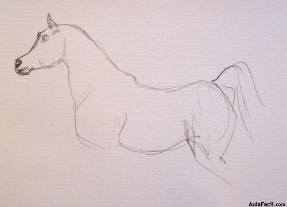 Dibujar caballos106