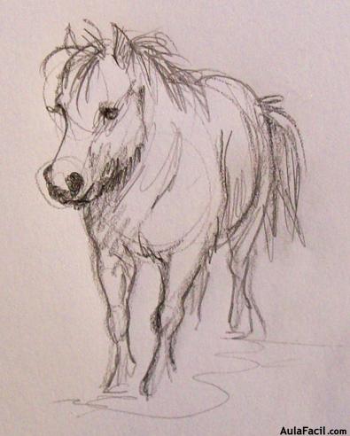 Dibujar caballos117