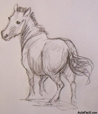Dibujar caballos125