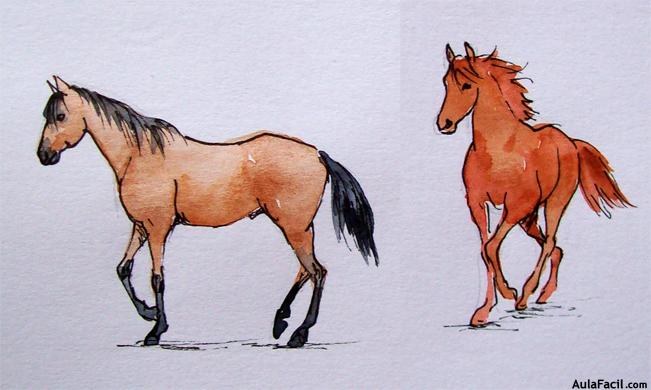 Dibujar caballos17