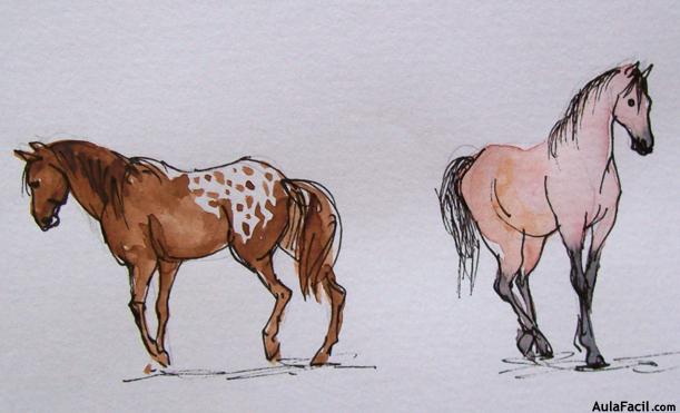 Dibujar caballos18