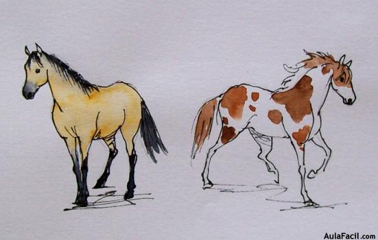Dibujar caballos20