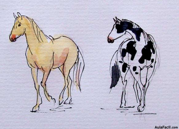 Dibujar caballo21