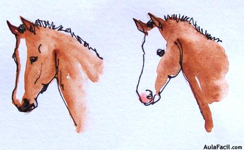 Dibujar caballos24