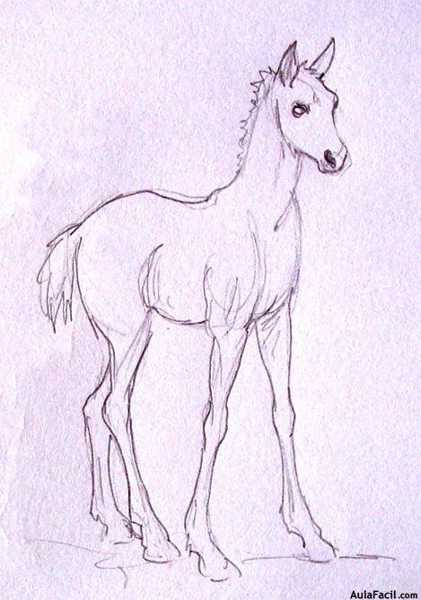 Dibujar caballos25