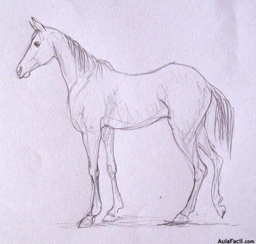 Dibujar caballos26