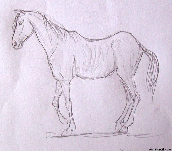 Dibujar caballos27