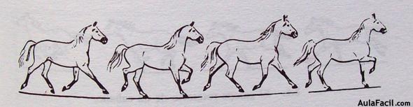Dibujar caballos28