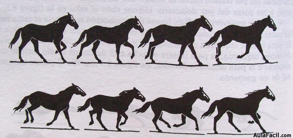 Dibujar caballos29