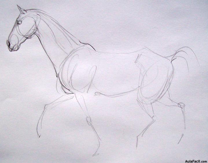 Dibujar caballos67