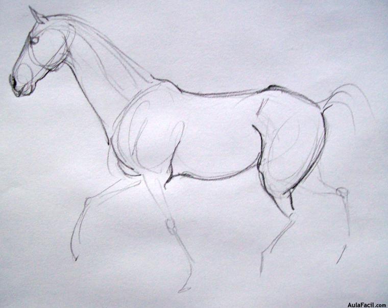 Dibujar caballos68