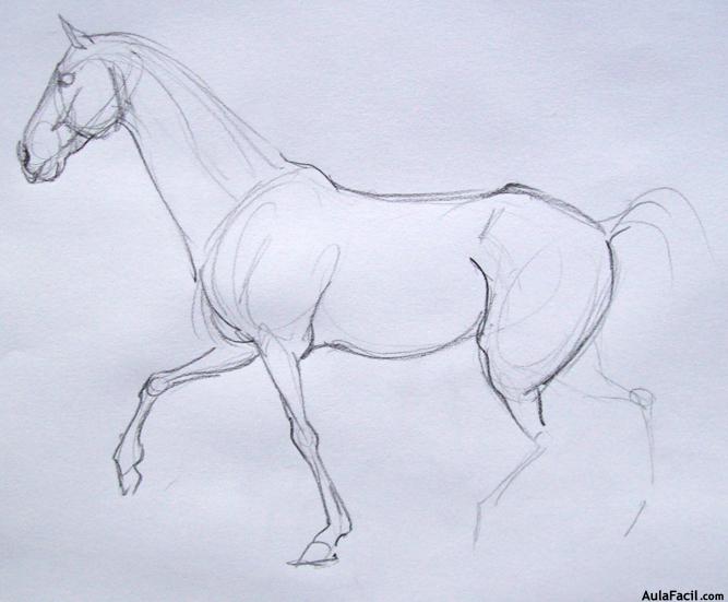 Dibujar caballos69