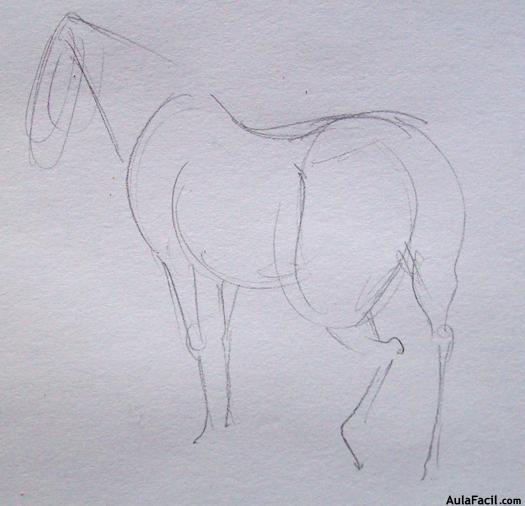 Dibujar caballos74