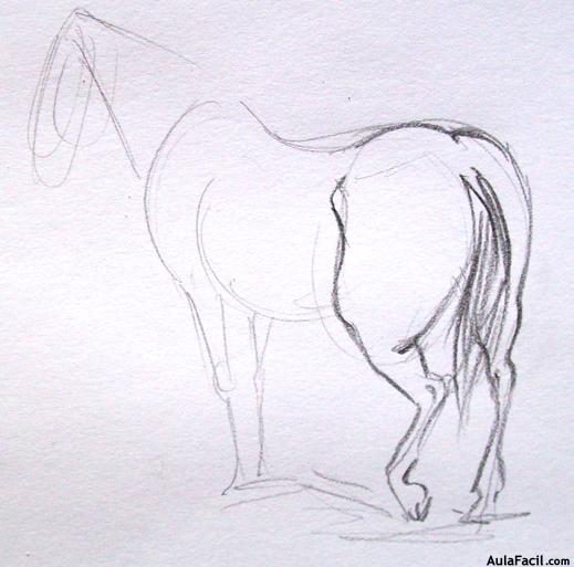 Dibujar caballos75