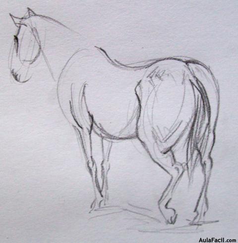 Dibujar caballos76